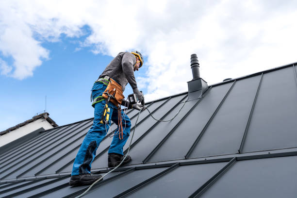 Best Storm Damage Roof Repair  in St Clairsville, OH